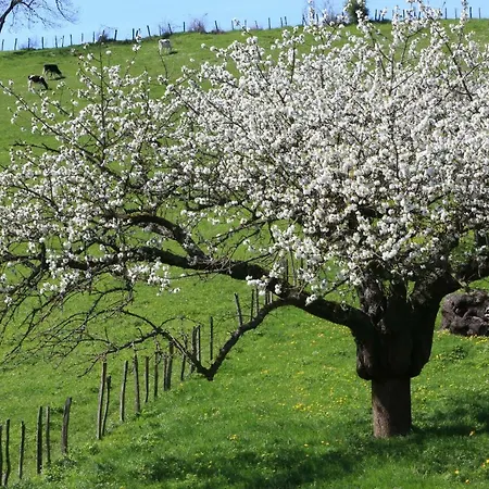 Maison Cube Frühstückspension *